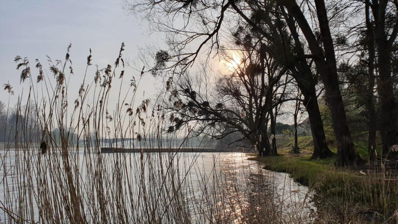 Les Gites Du Moulin Du Port Сен-Жорж-сюр-Шер Экстерьер фото